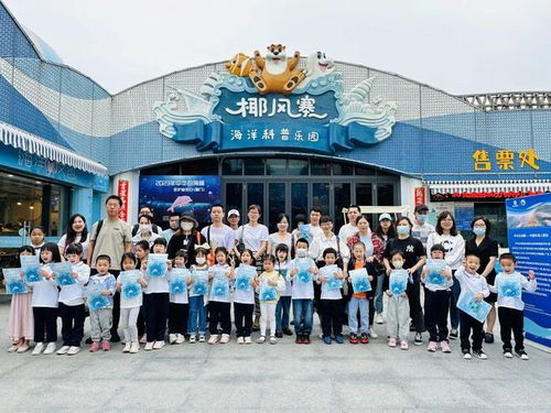 沙灘上遇到它們?cè)撛趺崔k 記住這三點(diǎn)