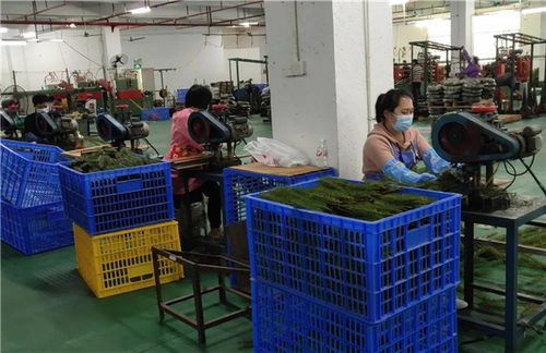 抓就業(yè)促脫貧 屏邊縣打出一套漂亮的 組合拳